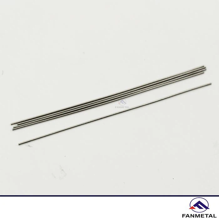 Platinum Iridium Electrodes